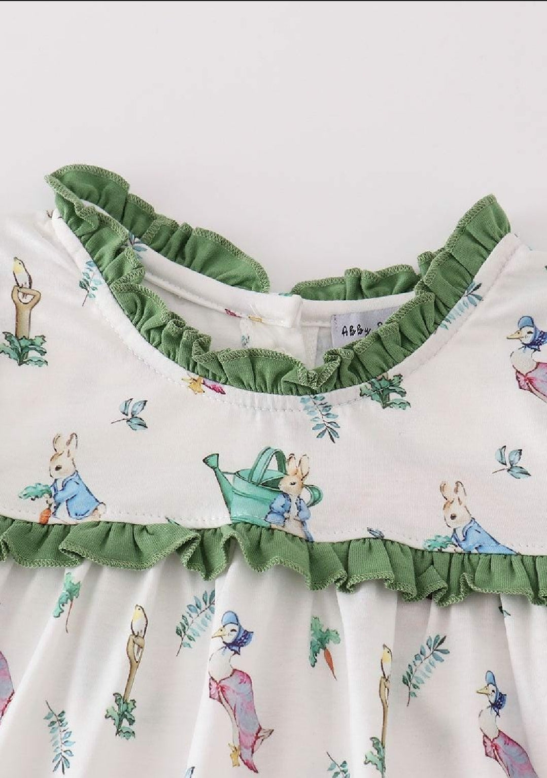 Girl's Boutique Easter Green Floral Bunny Print Rabbit Goose Two Piece Short Set Outfit Sibling Matching Embroidered Embroidery