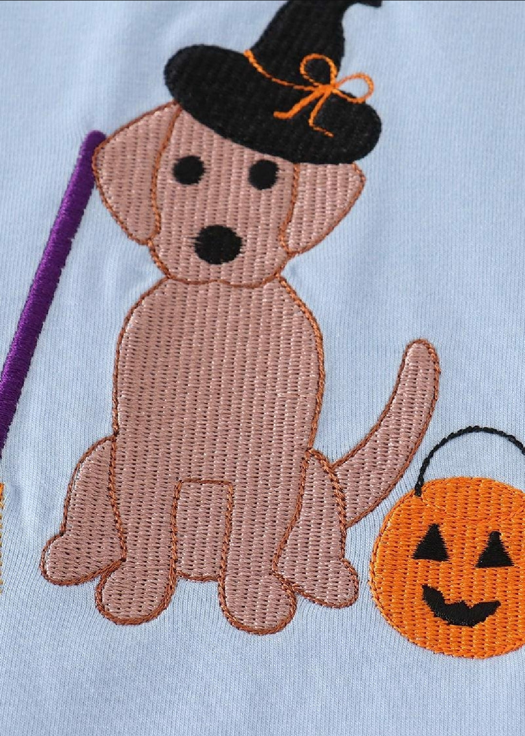 Girl's Boutique Blue Halloween Witch Dog Embroidered Embroidery Shorts Girl Set Matching Sibling