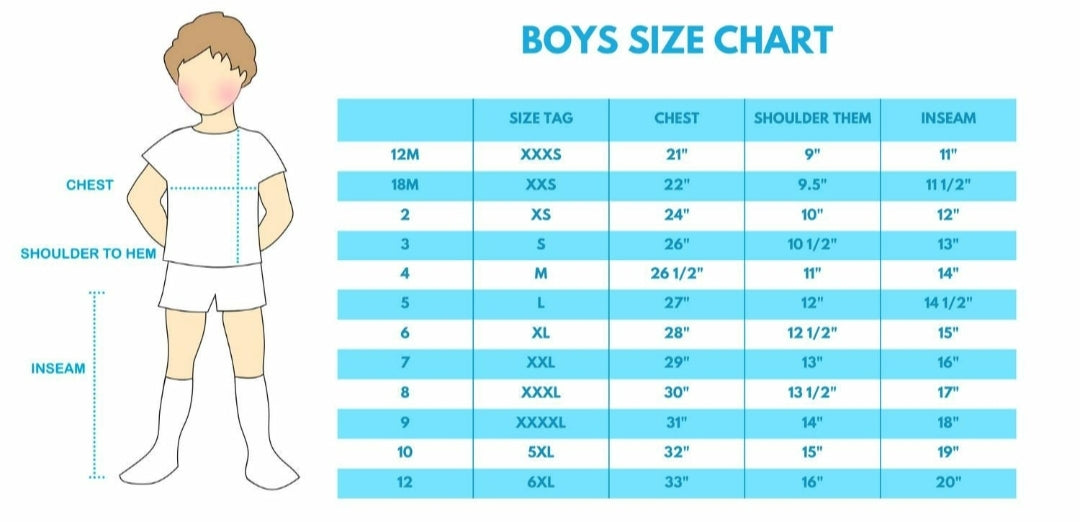 Boy's Boutique Blue Cow Farm Smocked Gingham Embroidered Embroidery Pant Set Matching Sibling