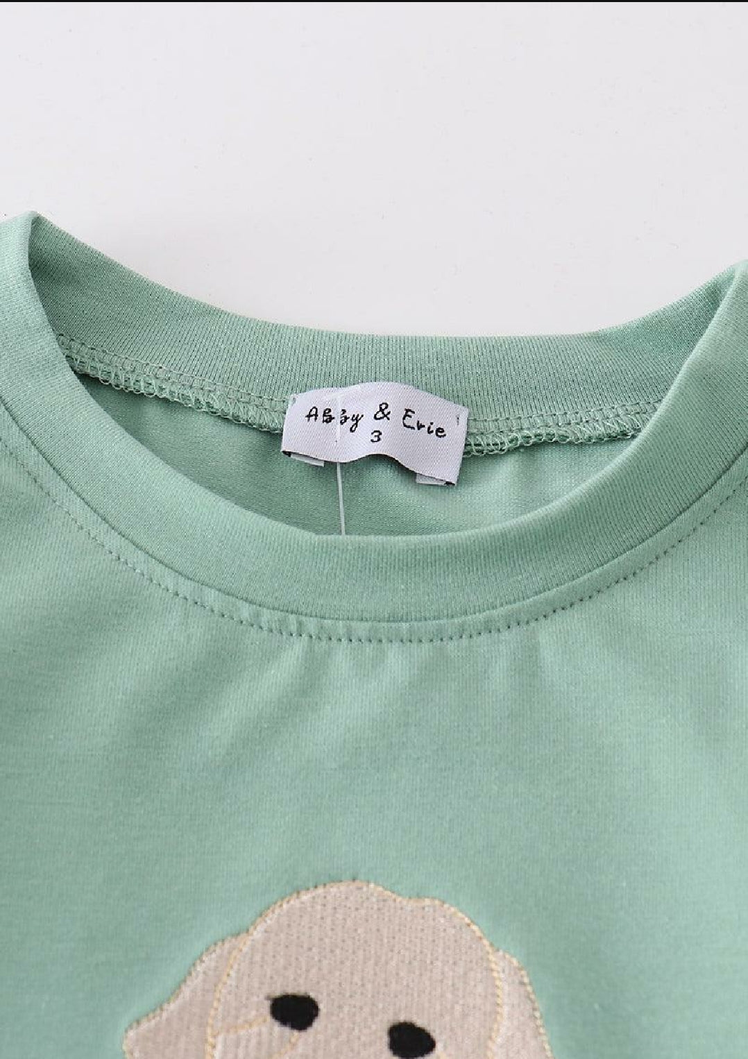 Boys Boutique Valentine's Day Green Puppy Heart Embroidery Embroidered 2 Piece Pant Set Outfit Matching Sibling