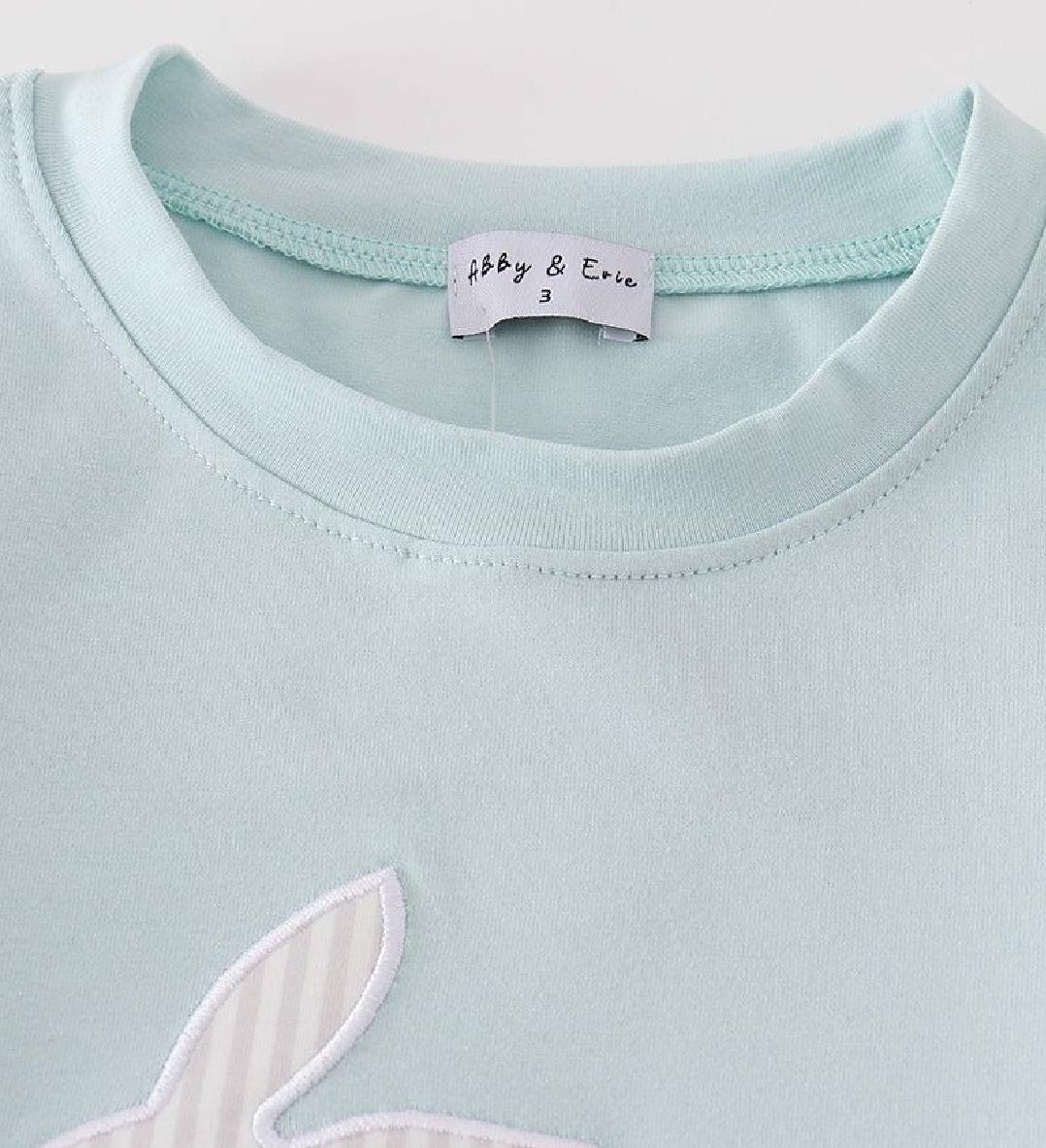 Boy's Boutique Mint Bunny Embroidery Checkered Embroidered Two Piece Short Outfit Matching Sibling