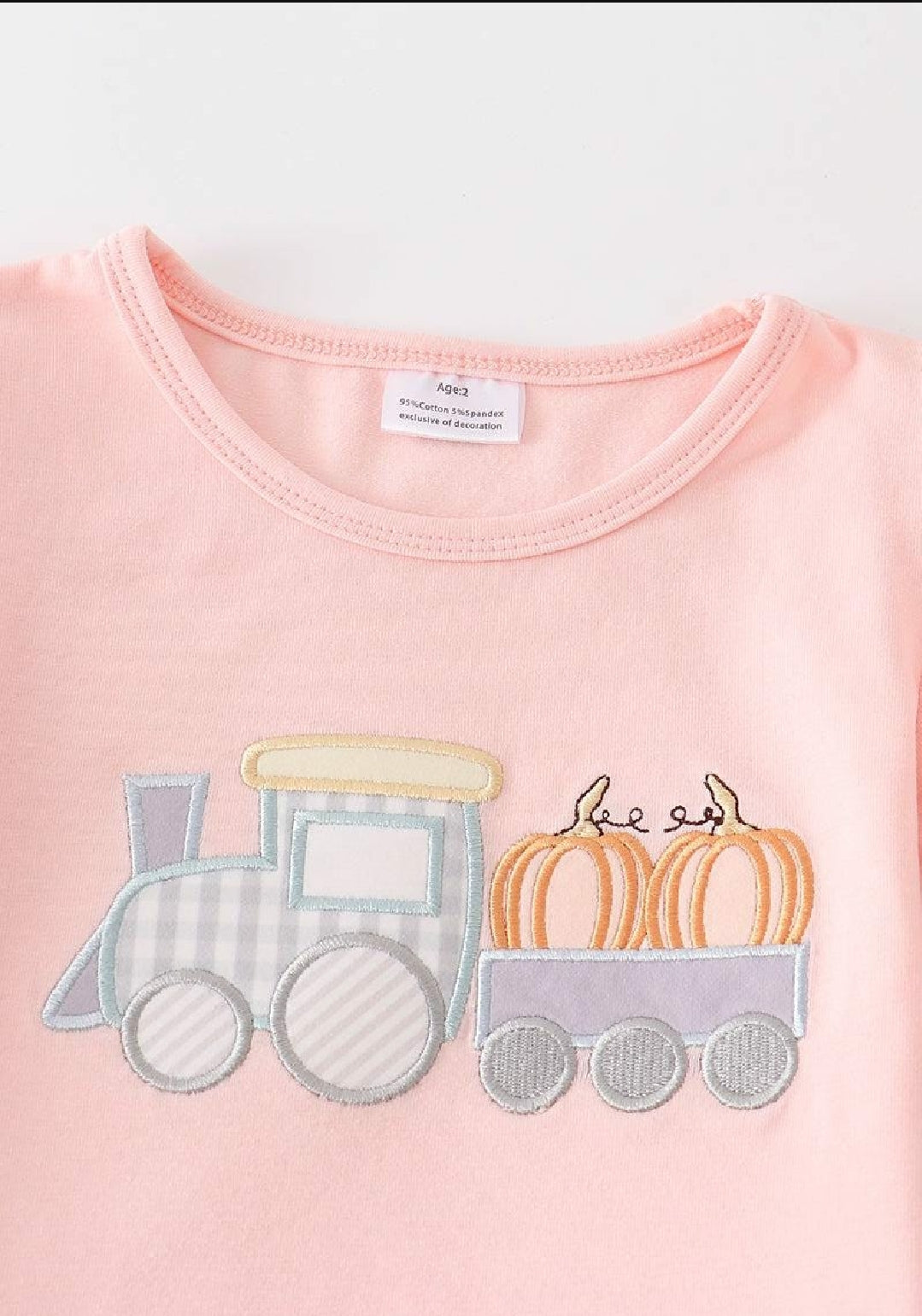 Girl's Boutique Beige Pink Train Pumpkin Applique Embroidered Embroidery Thanksgiving Fall Set Outfit Matching Sibling