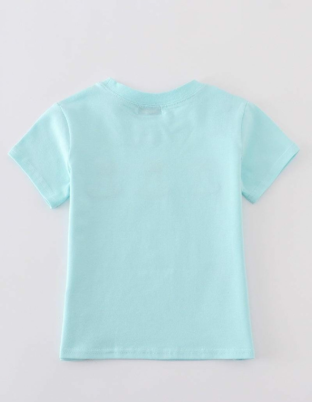 Boy's Boutique Premium Mint Easter Bunny Embroidered Boy Top Matching Sibling