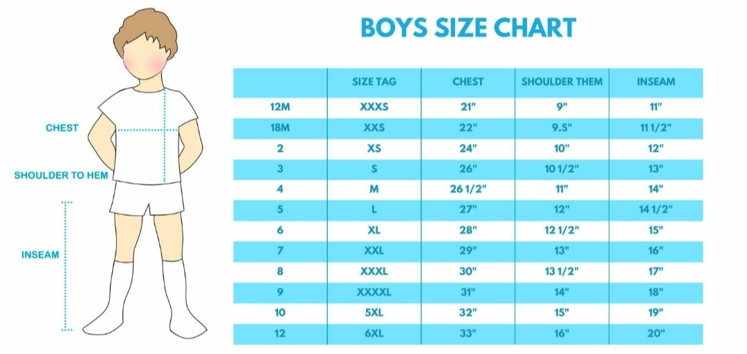 Boy's Boutique Blue Plaid Fish Embroidered Embroidery Boy Two Piece Short Set Outfit Sibling Matching Summer