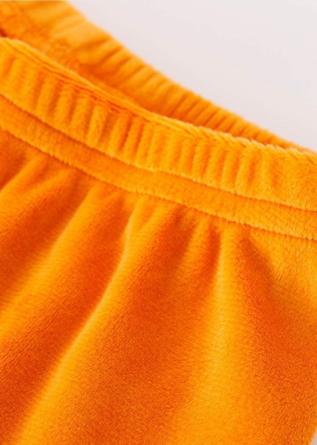 Girl's Boutique Honey Bee Velvet Sunflowes Lace Embroidered Embroidery Two Piece Flare Pants Set Outfit Matching Sibling