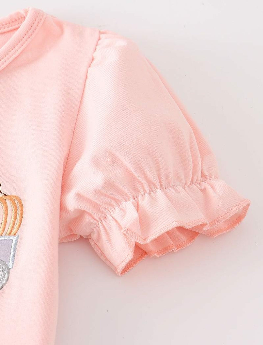 Girl's Boutique Beige Pink Train Pumpkin Applique Embroidered Embroidery Thanksgiving Fall Set Outfit Matching Sibling