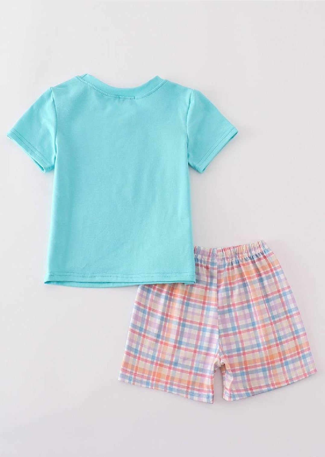 Boy's Boutique Blue Plaid Fish Embroidered Embroidery Boy Two Piece Short Set Outfit Sibling Matching Summer