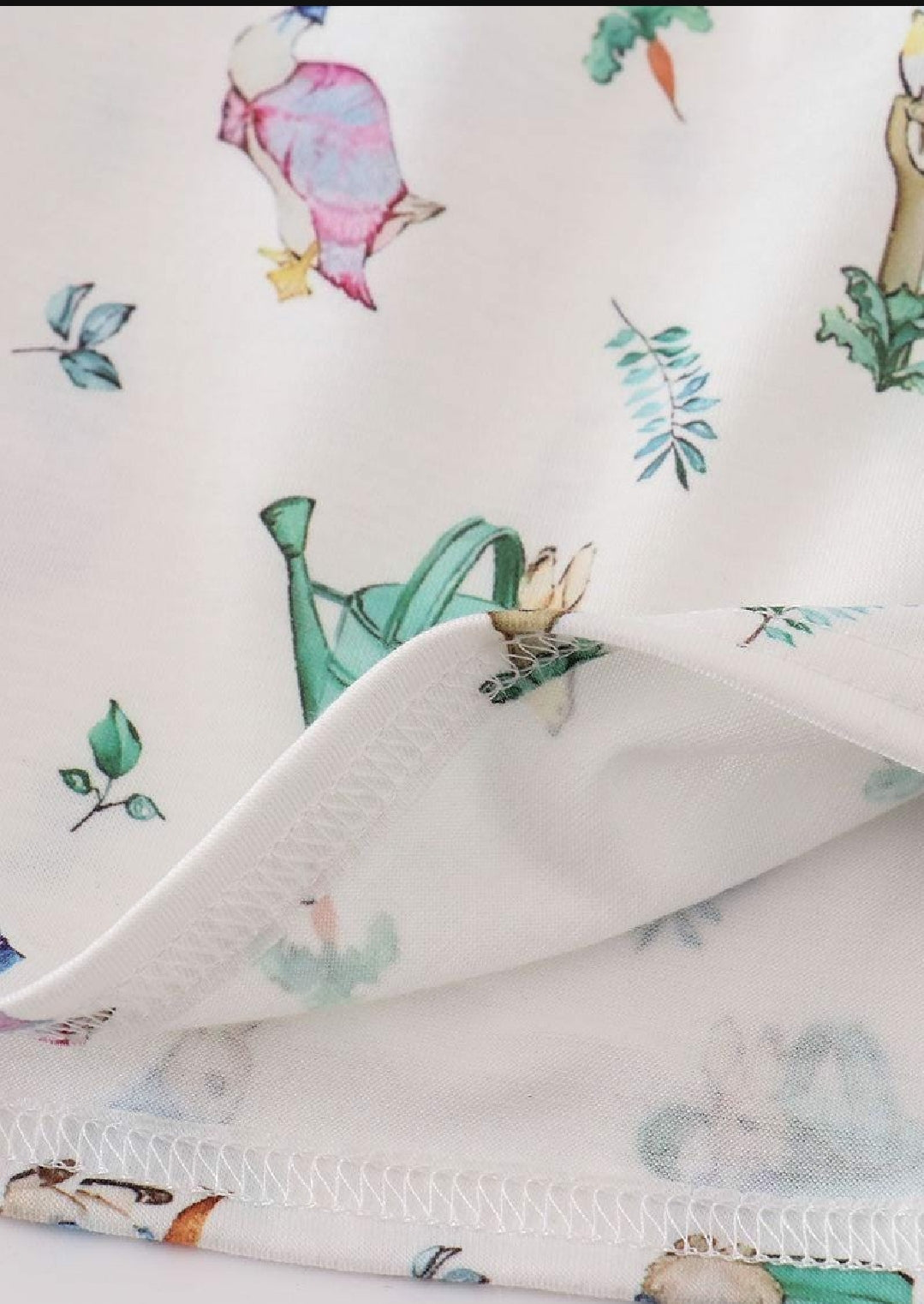 Girl's Boutique Easter Green Floral Bunny Print Rabbit Goose Two Piece Short Set Outfit Sibling Matching Embroidered Embroidery