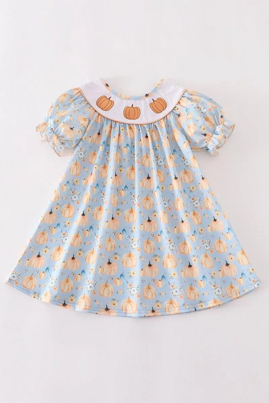 Abby & Evie Girl's Boutique Cotton Pumpkin Blue Embroidered Ruffle Dress Matching Sibling