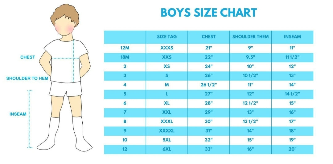 Boy's Boutique Premium Sage Easter Bunny Embroidered Boy Top Matching Sibling