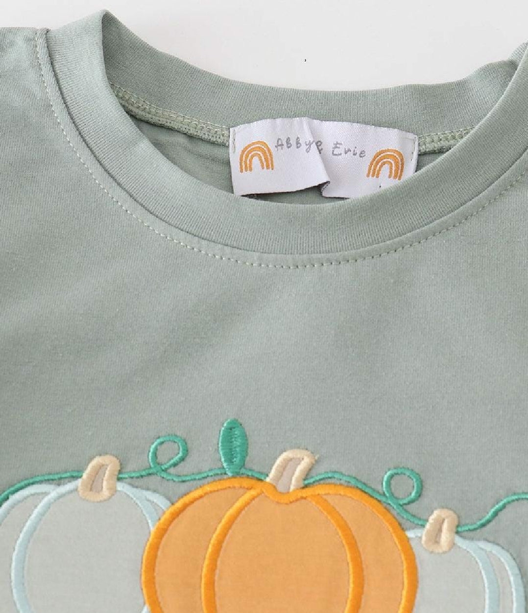 Boy's Boutique Sage Green Pumpkin Plaid Embroidered Embroidery Pants Set Matching Sibling Fall Thanksgiving